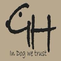 Hundeschule Gehorsamer Hund