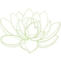 Balanced & Happy - Ernährung individuell und ganzheitlich