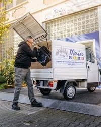 MainService - Agentur für haushaltsnahe Dienstleistungen