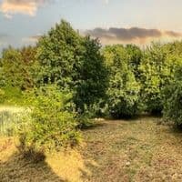 Marco Ertelt Gartenarbeit