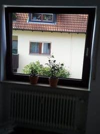 Dachdeckerei Holzapfel&Schulze | Berlin