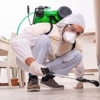 SCHÄDLINGSBEKÄMPFUNGEN STAUDENMAYER