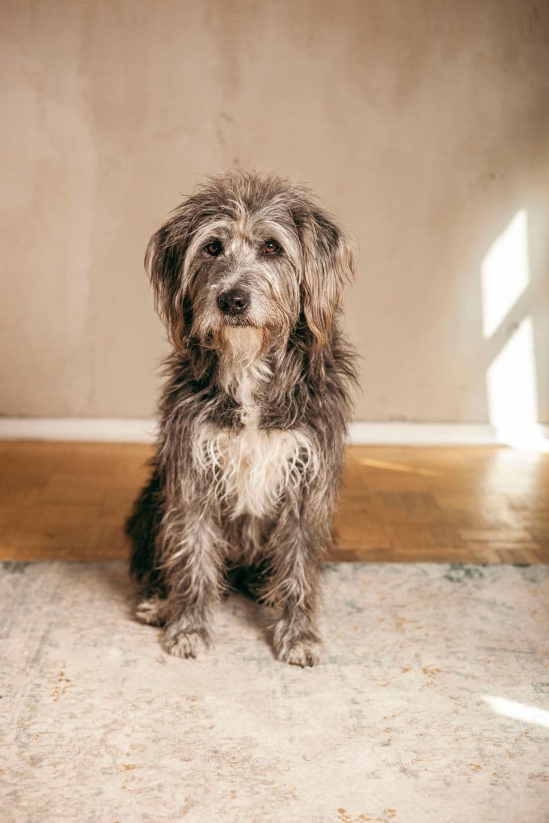 user-upload/business/work-media/dm53yeitj0vtm0760z7wjd_owls_& larks werbeagentur.jpeg