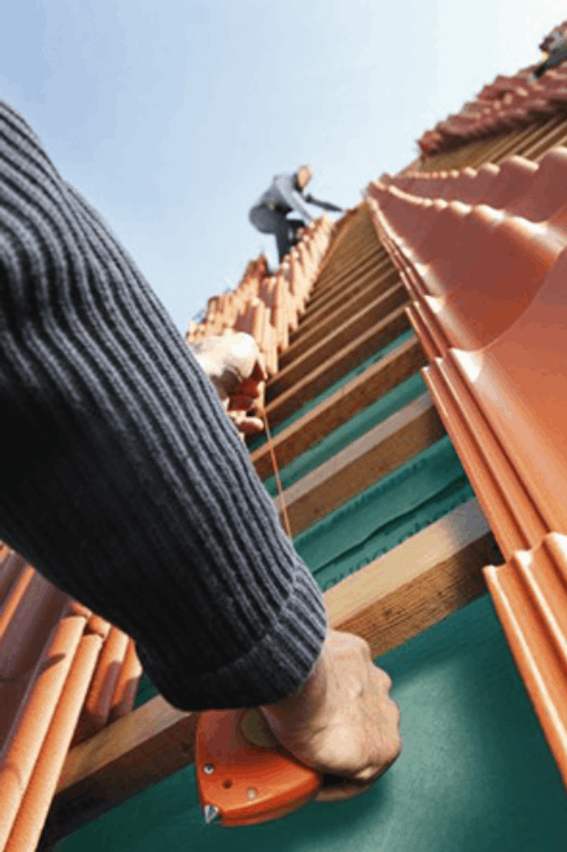 user-upload/business/work-media/elebooa4froeahjan4guec_christine_u. angela brueckmann.png