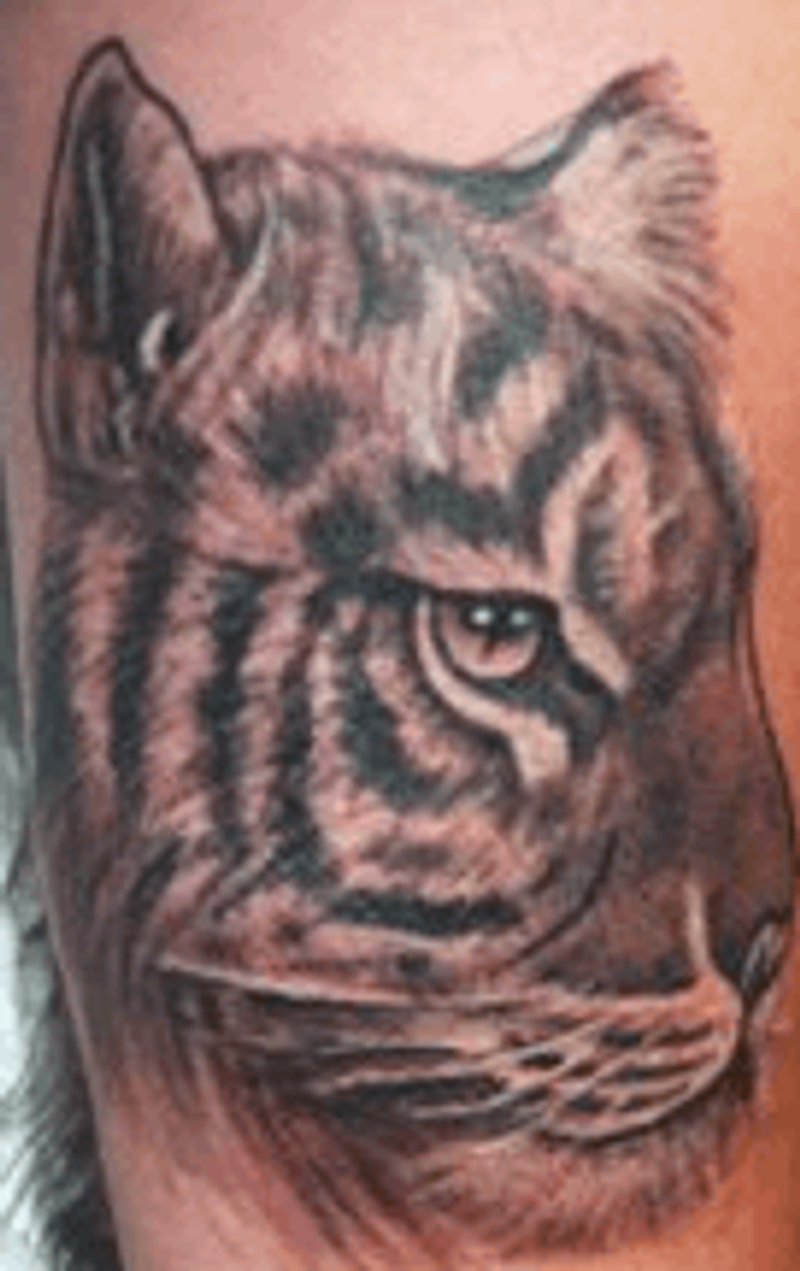 user-upload/business/work-media/u9tuiswjinink3hd3gczy_andys-tattoostudio.png