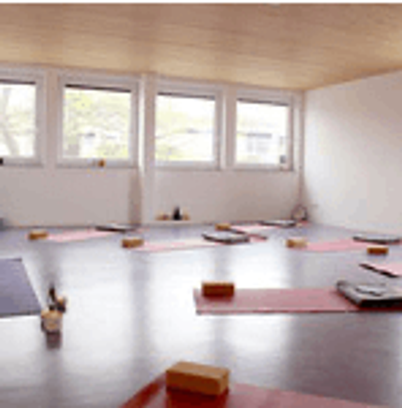 user-upload/business/work-media/ynz6v833i4orioi6cilnto_alina_neumann kleina yoga.png